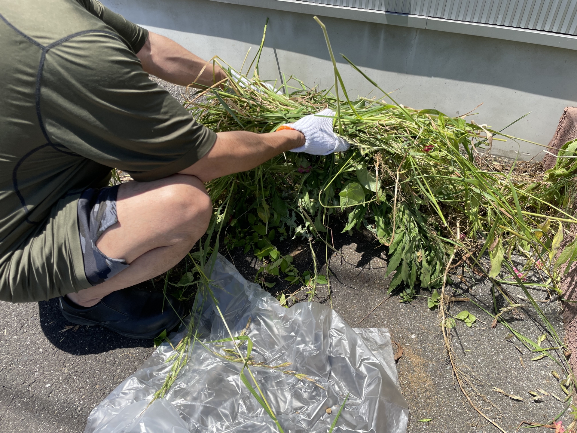 地域社会への貢献