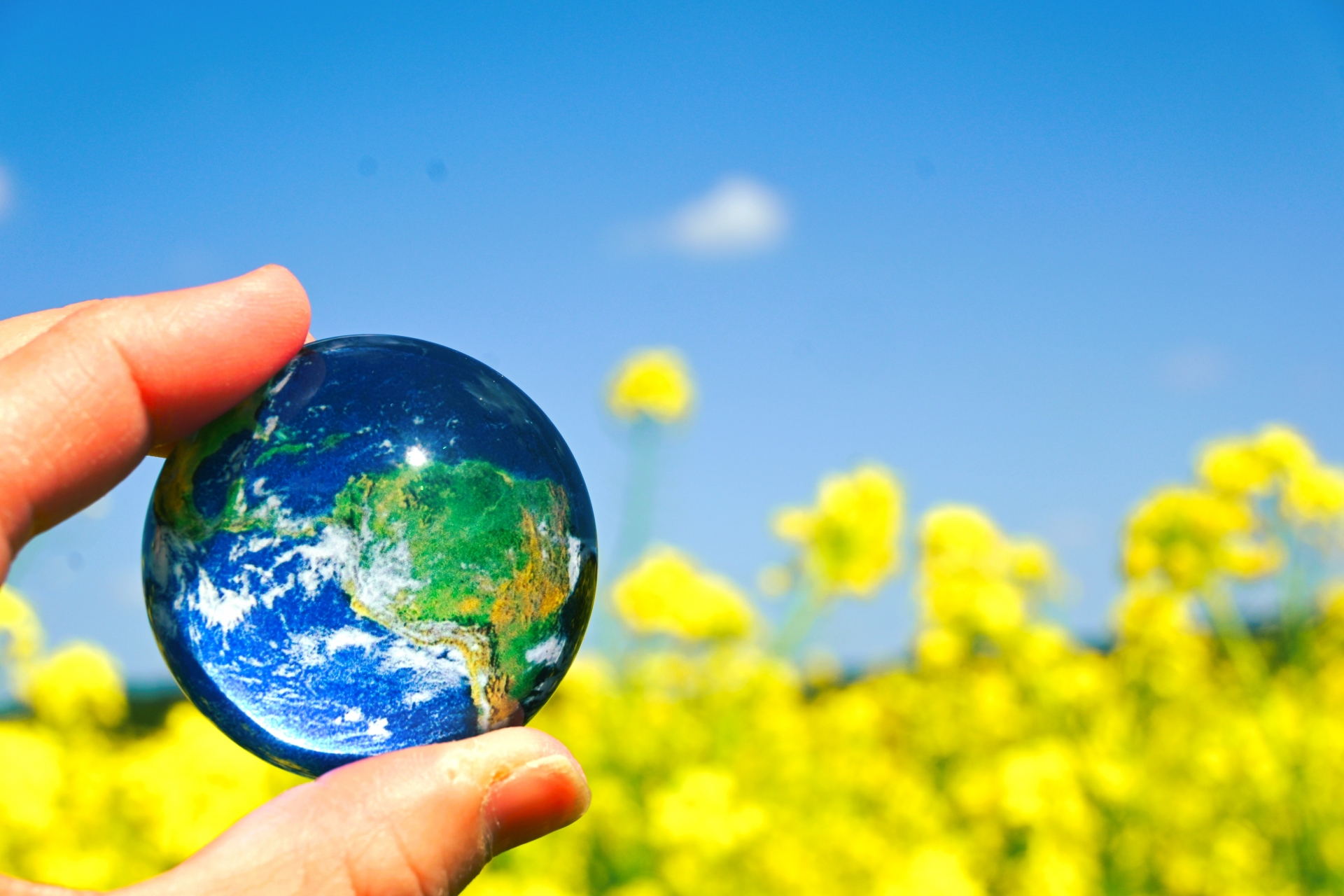 環境配慮型工法・材料